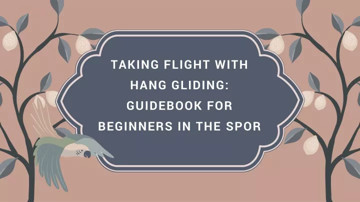 taking flight with hang gliding guidebook for beginners in the spor
