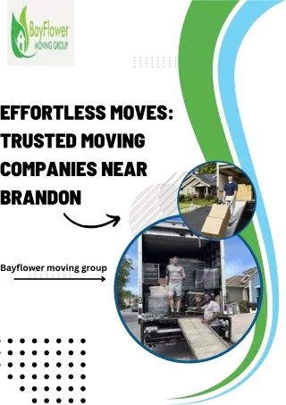 Top-Rated Moving Companies near Brandon for Stress-Free Relocations
