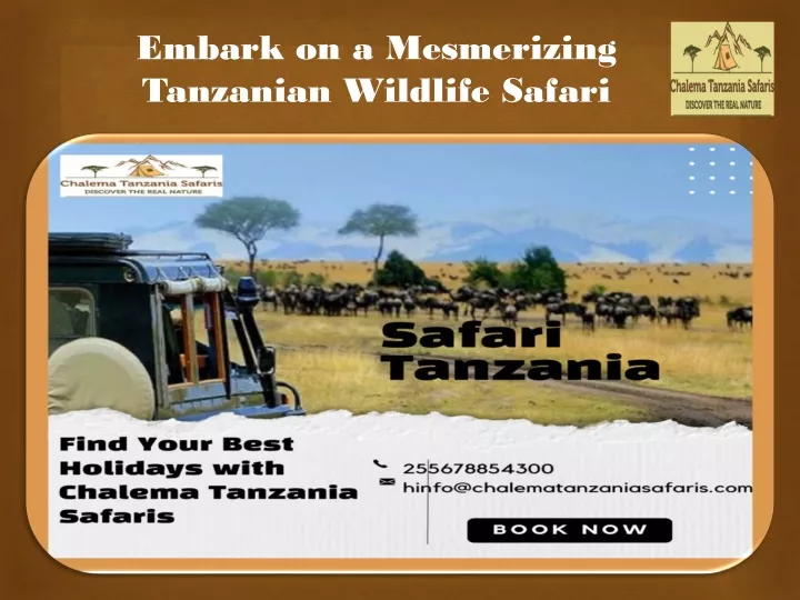 embark on a mesmerizing tanzanian wildlife safari