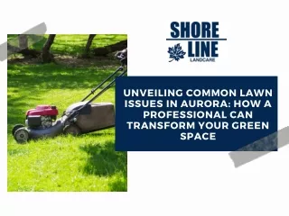 _Unveiling Common Lawn Issues in Aurora How a Professional Can Transform Your Green Space