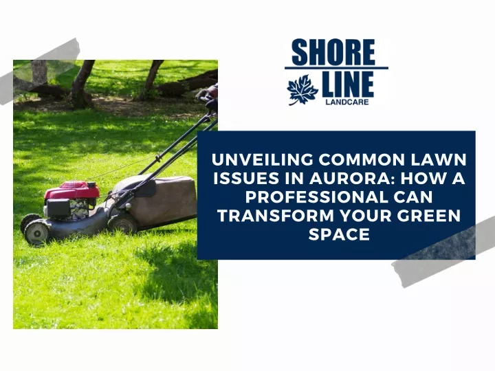 unveiling common lawn issues in aurora