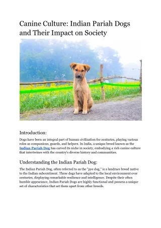 Canine Culture_ Indian Pariah Dogs and Their Impact on Society