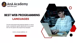 Best Web Programming Languages