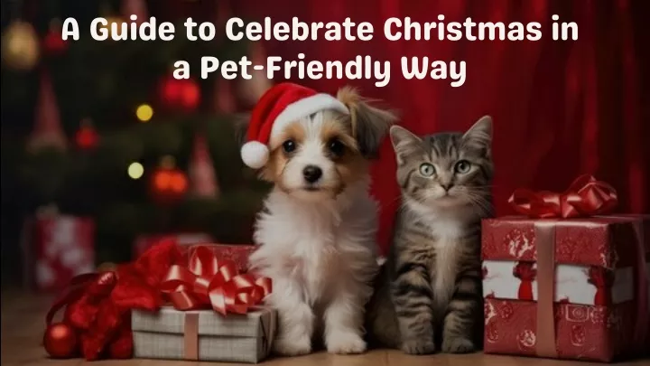 a guide to celebrate christmas in a pet friendly