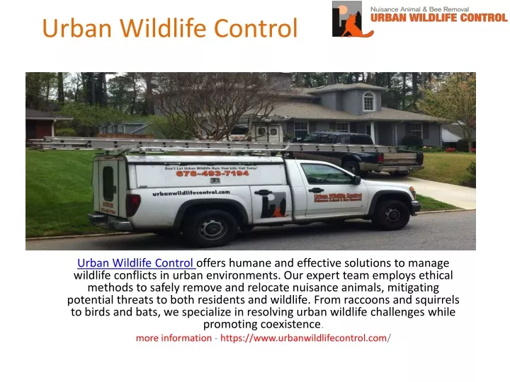 urban wildlife control