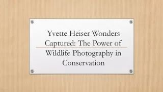 Yvette Heiser Wonders Captured: The Power of Wildlife Photography in Conservatio