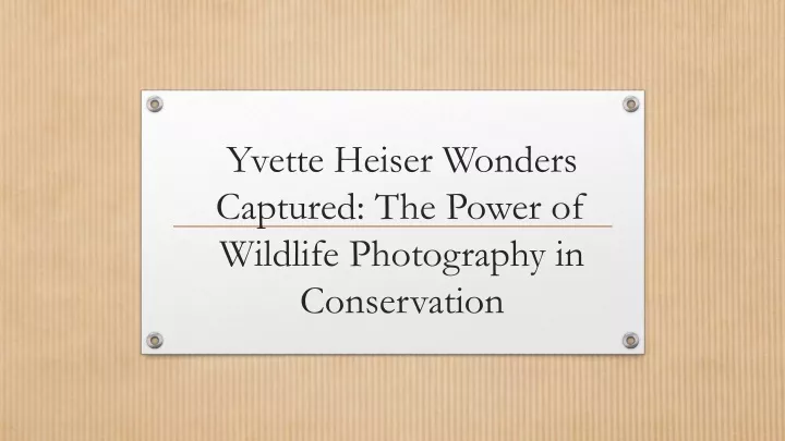 yvette heiser wonders captured the power of wildlife photography in conservation