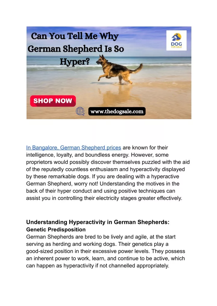 in bangalore german shepherd prices are known