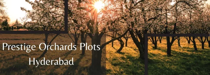 prestige orchards plots hyderabad