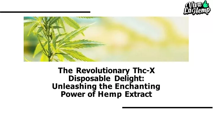 the revolutionary thc x disposable delight