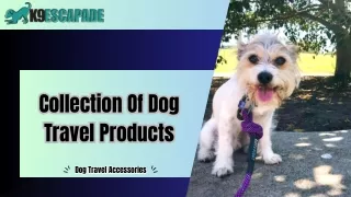 Pick Affordable Dog Travel Accessories | K9 Escapade