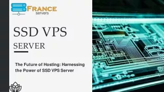 Why Choose France Server Hosting for SSD VPS Server in France?