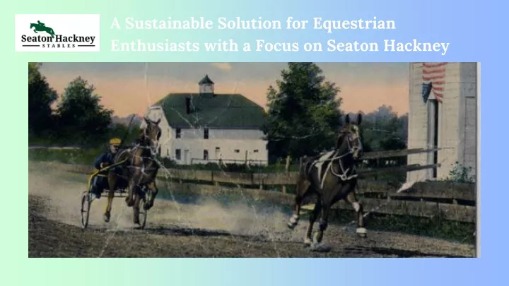 a sustainable solution for equestrian enthusiasts