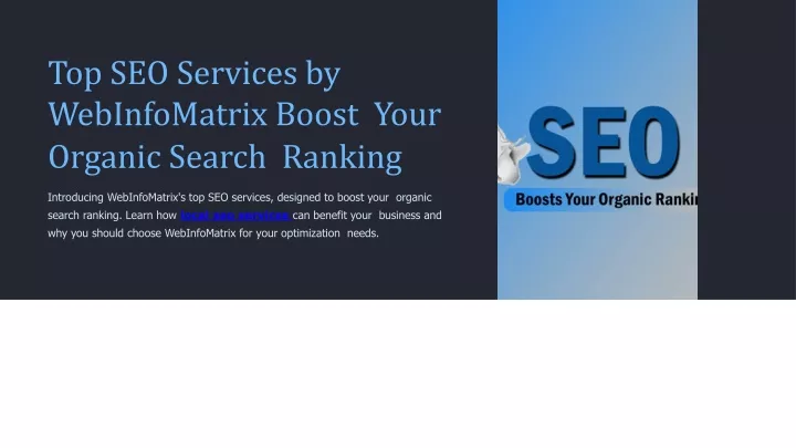 top seo services by webinfomatrix boost your