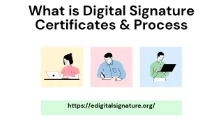 What is Digital Signature Certificates & Process (1)