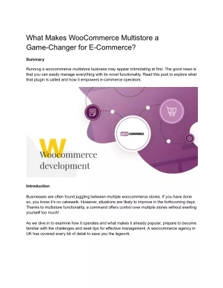 What Makes WooCommerce Multistore a Game-Changer for E-Commerce