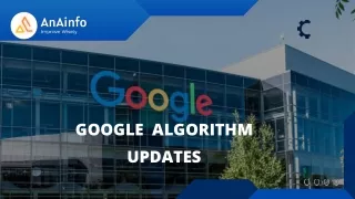 Google ALGORITHM