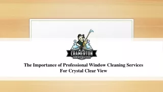The Importance of Professional Window Cleaning Services For Crystal Clear View