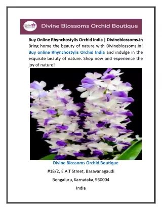 Buy Online Rhynchostylis Orchid India