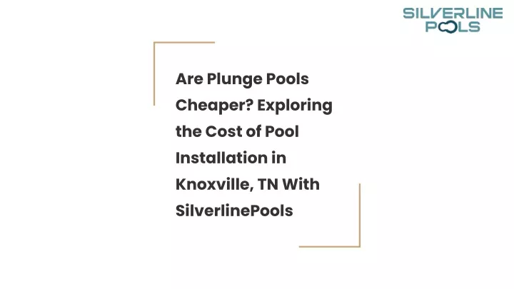 are plunge pools cheaper exploring the cost