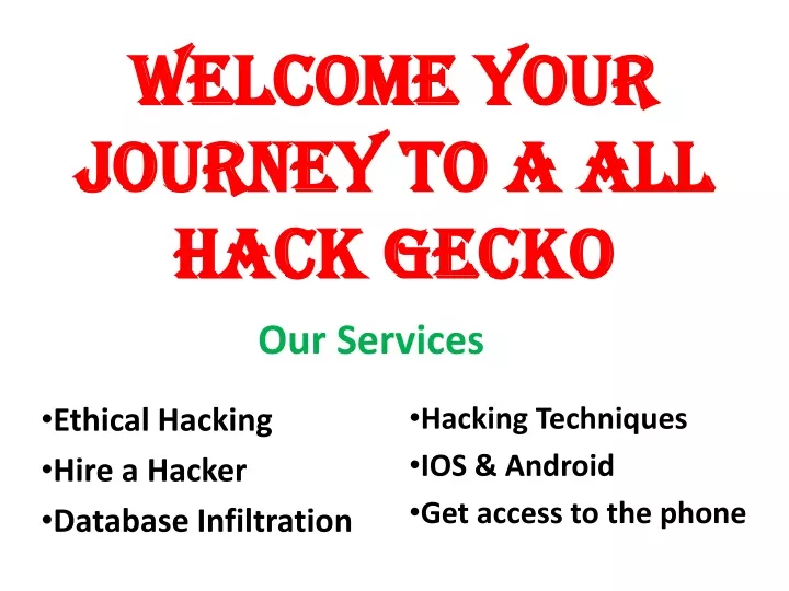 welcome your journey to a all hack gecko