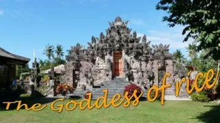 the goddess of rice