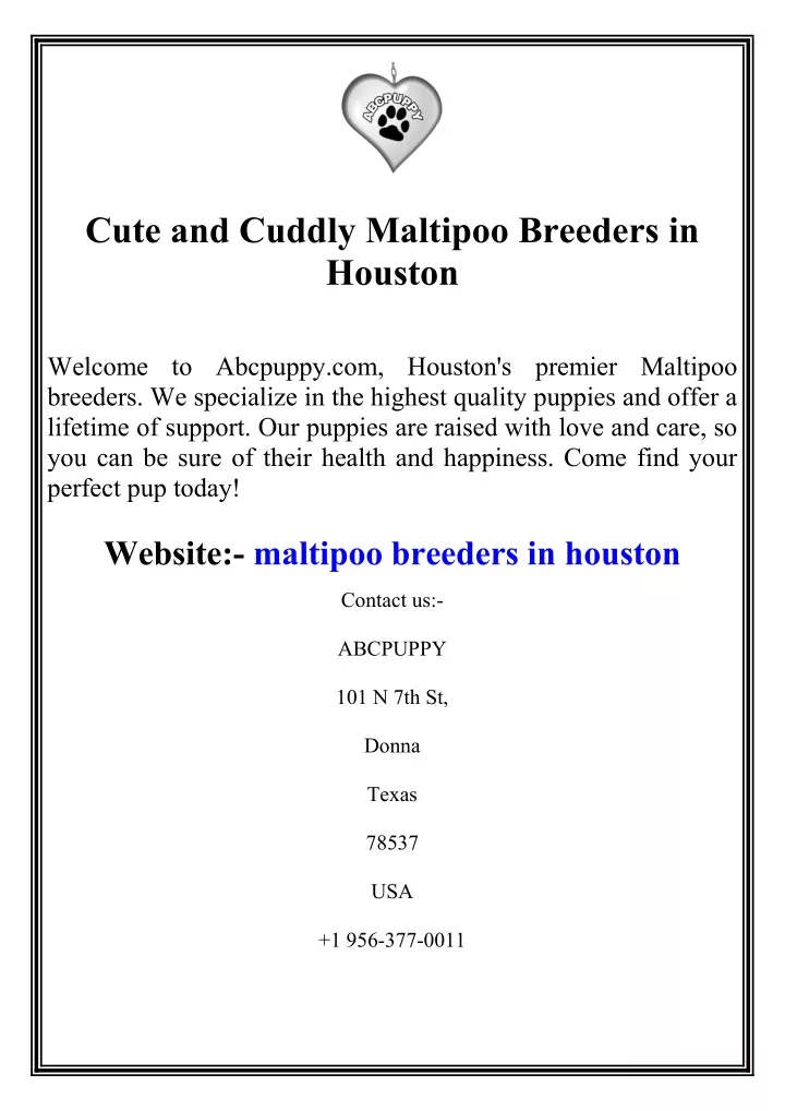 cute and cuddly maltipoo breeders in houston