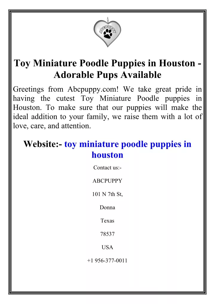 toy miniature poodle puppies in houston adorable