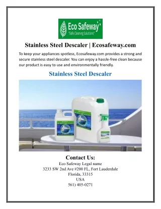 Stainless Steel Descaler | Ecosafeway.com