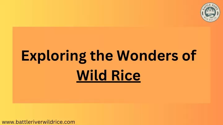 exploring the wonders of wild rice