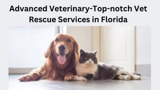 Advanced Veterinary- Top-notch Vet Rescue Services in Florida
