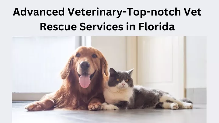 advanced veterinary top notch vet rescue services