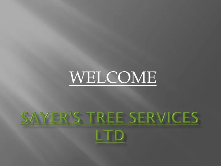 sayer s tree services ltd