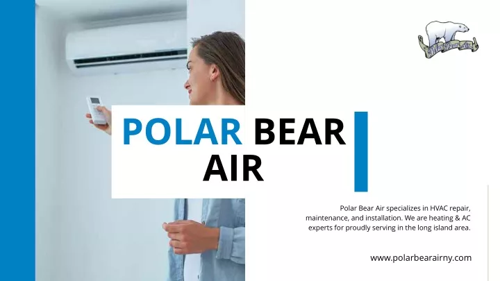 polar bear air