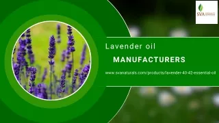Lavender oil Manufacturers