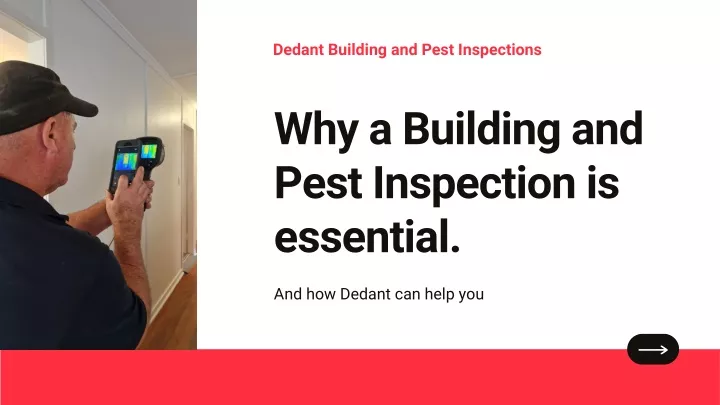dedant building and pest inspections