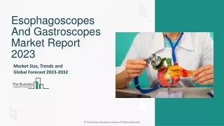Esophagoscopes And Gastroscopes Market Size, Share, Trends And Forecast To 2033