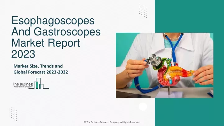 esophagoscopes and gastroscopes market report 2023