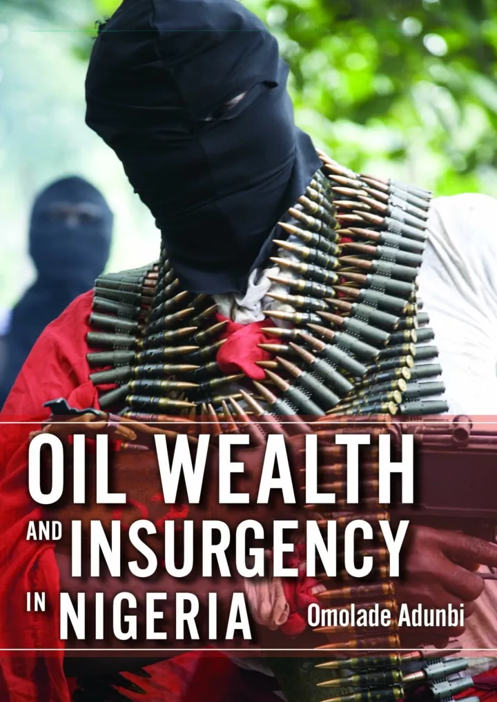 pdf download oil wealth and insurgency in nigeria
