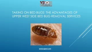 Taking on Bed Bugs: The Advantages of Upper West Side Bed Bug Removal Services
