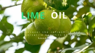 SVA Lime Essential Oil