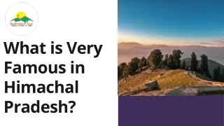 What is Very Famous in Himachal Pradesh?