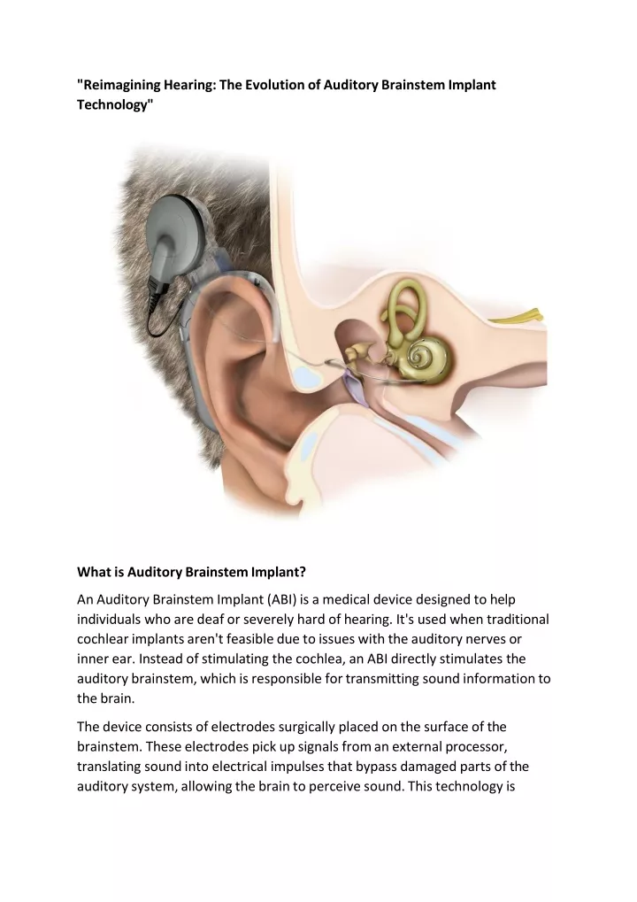 reimagining hearing the evolution of auditory