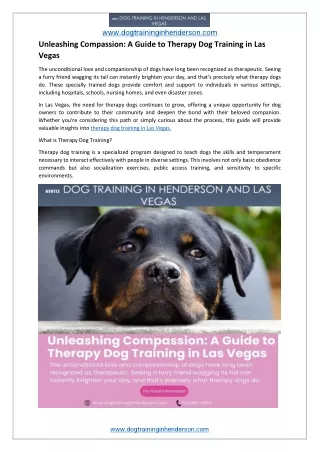 Unleashing Compassion: A Guide to Therapy Dog Training in Las Vegas