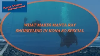 What Makes Manta Ray Snorkeling In Kona So Special