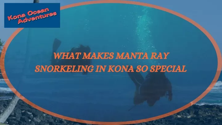 what makes manta ray snorkeling in kona so special