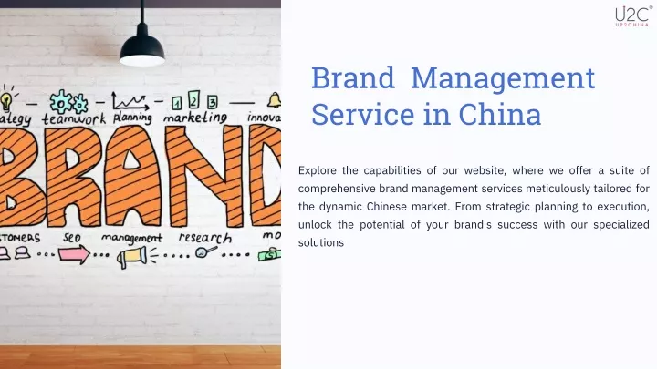 brand management service in china