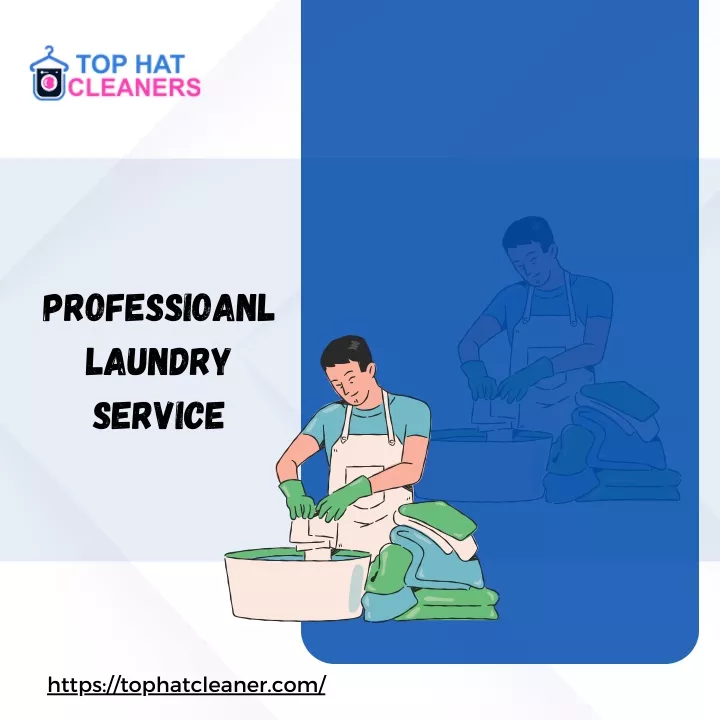 professioanl laundry service