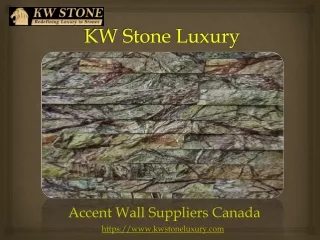 Accent Wall Suppliers near me- KW Stone Luxury