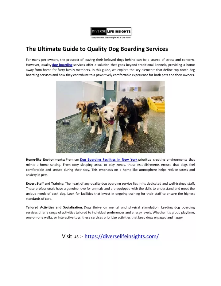 the ultimate guide to quality dog boarding